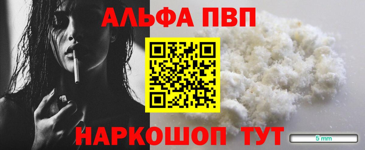 Альфа ПВП СК КРИС Ростов Великий