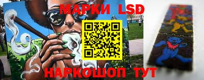 индика Обь