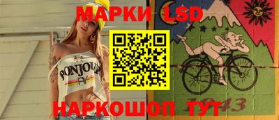 индика Обь