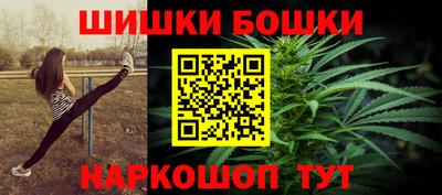 индика Обь