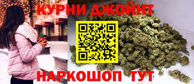 индика Обь