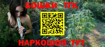 индика Обь