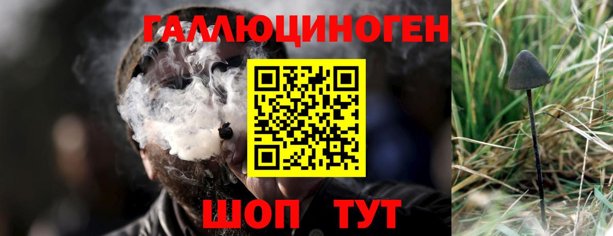 Псилоцибиновые грибы Magic Shrooms  наркошоп  Вход с VPN  Ростов Великий  Галлюциногенные грибы прущие грибы 